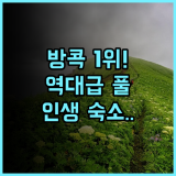 137 필러스 스위츠 방콕 후기 루프탑 인피니티 풀이 매력적인 방콕 럭셔리 숙소 추천