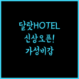 Goldient Boutique Hotel.. 달랏 신상 호텔의 모든 것! 후기 및 장단점 달랏부티크호텔 가성비갑 달랏여행