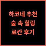 하코네 리트리트 빌라1/f 추천 후기 숲 속 힐링, 고요한 휴식! 디지털디톡스 온천맛집 하코네료칸