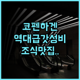 고 호텔 사가 코펜하겐 중앙역 인근 조식 맛집 숙소 추천 후기
