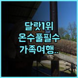 아나 만다라 빌라 달랏 리조트 & 스파 빌라 1위 온수 수영장 완비 가족 여행 추천
