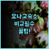 그랜드 위즈 호텔 프락시스 수라바야 실제 이용후기, 예약 팁