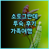 소토그란데 호텔 실제 투숙 후기! 일로일로 여행객에게 강력 추천 수영장 가족여행 일로일로호텔