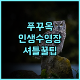 나이트 시 호텔 푸꾸옥 루프탑 수영장 전망과 공항 셔틀 서비스 완벽 후기 추천