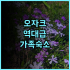 아테네 시티 호텔 후기 청결한 객실과 서비스가 훌륭한 도심 속 숙소 추천