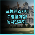 코스타벨라 트로피컬 비치 호텔 추천! 프라이빗 해변에서 즐기는 완벽한 힐링 숙소 후기