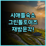 그린 톨토이즈 호스텔 시애틀 숙소 후기, 다시 방문하고 싶은 곳