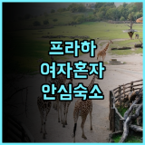 소피 호스텔 후기 여성 여행객을 위한 깨끗하고 안전한 프라하 호텔 추천