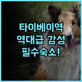 미앤더 1948 호스텔 후기! 타이베이 메인역 인근 역사적인 감성 숙소 추천