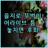 호텔어라이브 을지로 틈 실제 이용후기, 서울 뚜벅이 숙소 추천
