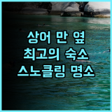 타토 시뷰 리조트 추천: 샤크 베이 옆 환상적인 숙소! 스노클링 명소! 샤크베이 스노클링 오션뷰