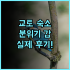 포시즌스 호텔 교토 솔직 후기 예약 팁 정리해 드려요