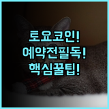 토요코 인 오키나와 나하 아사히바시 에키마에 실제 이용후기 및 예약 팁
