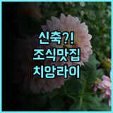 호텔 셀레네 치앙라이 후기 2024년 신축 시설과 완벽한 조식을 갖춘 숙소 추천