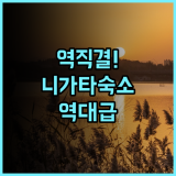 아트 호텔 니가타 스테이션 추천 후기 니가타역 직결 최고의 접근성