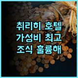이비스 스타일스 취리히 시티 센터 솔직 후기 조식이 훌륭한 가성비 호텔 추천 취리히호텔 중앙역근처 가족여행