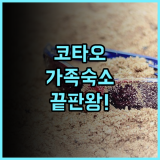 시쉘 리조트 코타오 사이리 해변 중심가 위치 최고의 가족 여행 숙소 추천