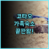 노보텔 몰타 슬리에마 추천 2025년 신축 시설과 루프탑 수영장을 갖춘 최고의 선택