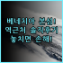 바이탈호텔 디 미텔부르크 실제 이용후기, 알가우 산맥 힐링 숙소 추천