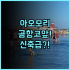 호텔 라이브맥스 도야마 추천 가성비와 위치를 모두 잡은 실속형 여행 숙소 후기