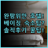 빈펄 리조트 나트랑 실제 이용후기, 가족 여행 숙소 추천 및 예약 팁
