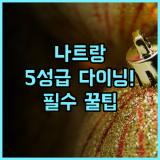 나트랑 메리어트 리조트 & 스파 혼 트레 아일랜드 5개 레스토랑 다이닝 럭셔리 리조트 추천