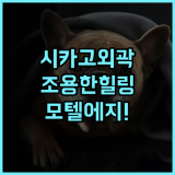 모텔 에지브룩 시카고 숙소 후기, 조용한 외곽에서 보낸 힐링 일상