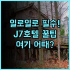 워터 우즈 인 실제 이용후기, 대만 가오슝 숙소 팁과 솔직한 분석