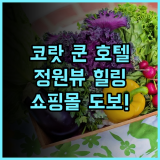 쿤 호텔 후기! 센트럴 코랏 도보 이동이 편리한 조용한 정원 뷰 숙소 추천