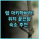 렘 아키하바라 도쿄 숙소 추천, 위치 좋은 역세권 호텔 총정리