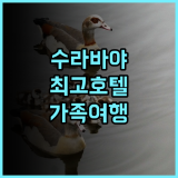 크라운 프린스 수라바야 시티 센터 추천 후기 편안함과 편리함이 공존하는 완벽한 숙박 수라바야호텔 가족여행 시티뷰