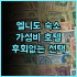 호텔 JAL 시티 도쿄 도요스 추천 후기 가성비와 편안함, 도쿄 여행에 딱! 도쿄호텔 도요스 가성비