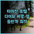 JI 호텔 시안다옌타다탕부예청 솔직 후기 최고의 위치와 편안함 시안호텔추천 다옌타 커플여행
