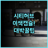 시티허브 코펜하겐 추천 덴마크 이색 캡슐 호텔 완벽 후기