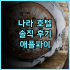 페낭 힐 로지 추천 후기 페낭 여행객을 위한 최고의 선택 페낭여행 힐로지 추천숙소