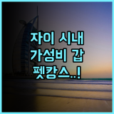 백 홈 호텔 치아이 시티 추천 후기 반려동물 동반 가능한 자이 시내 가성비 숙소의 매력