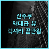 벨루스타 도쿄 팬 퍼시픽 호텔 후기 신주쿠 고층부 파노라마 뷰가 완벽한 럭셔리 숙소 추천