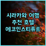 도요타 시라카와-고 에코-인스티튜트 추천 후기! 시라카와 여행, 여기 어때? 시라카와 추천호텔 에코인스티튜트 일본여행