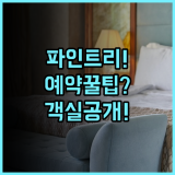 파인트리 호텔 예약 팁, 위치부터 객실 컨디션까지 꼼꼼히 따져본 숙소 후기입니다