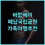 바항 베이 호텔 추천 후기 페낭 국립공원 인근 최고의 선택! 페낭여행 가족여행 호텔추천
