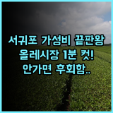 케니스테이 서귀포 후기! 올레시장 접근성이 뛰어난 제주 가성비 호텔 추천