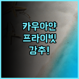 카우아얀 부티크 프라이빗 아일랜드 숙소 후기 및 객실 추천