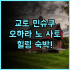 천진 빈하이 아투어 호텔, 후회없는 선택! 가성비 청결 편리한교통 추천 후기!