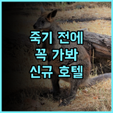 타비스트 세토우치 노 야도 다케하라 해변 추천 후기 2025년 오픈 기대 이상의 만족 다케하라해변 세토우치 신규호텔