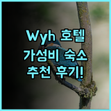 Wyh Hotel 추천 후기 가성비 최고 숙소!