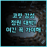 Koranaree Courtyard Boutique Hotel 추천 후기 정원이 아름다운 코랏 감성 숙소의 매력