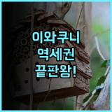 토요코 인 이와쿠니 에키 니시 구치 후기 역세권의 편리함과 청결함이 돋보이는 이와쿠니 숙소 추천
