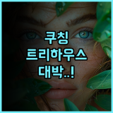 페르마이 레인포레스트 리조트 후기 자연과 하나 되는 쿠칭 트리하우스 숙소 추천