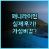 LANSE OCEAN 솔직 후기, 다이빙 투어 맞춤형 예약 팁