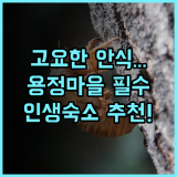 루시먼 리트리트 항저우 용정 마을에서 고요한 자연 힐링을 선사하는 숙소 추천